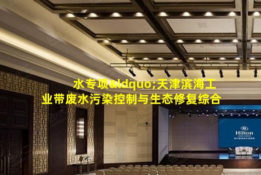kaiyun官方网站-水专项“天津滨海工业带废水污染控制与生态修复综合示范”项目顺利通过工程示范第三方评估